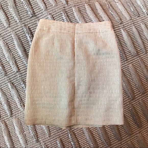 Beautiful Talbots Skirt - Picture 6 of 7